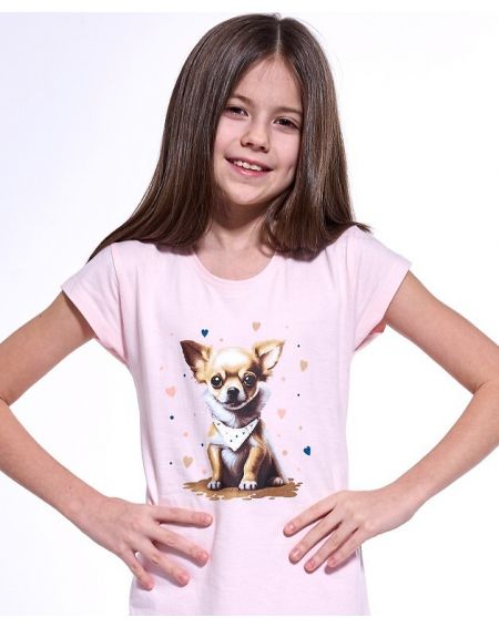 Koszula Cornette Young Girl 494/112 Chihuahua 2 kr/r 134-164