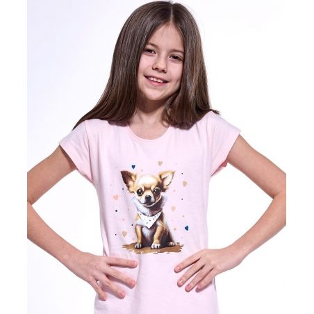 Koszula Cornette Young Girl 494/112 Chihuahua 2 kr/r 134-164