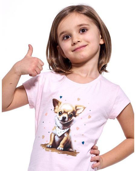 Koszula Cornette Kids Girl 493/112 Chihuahua kr/r 98-128