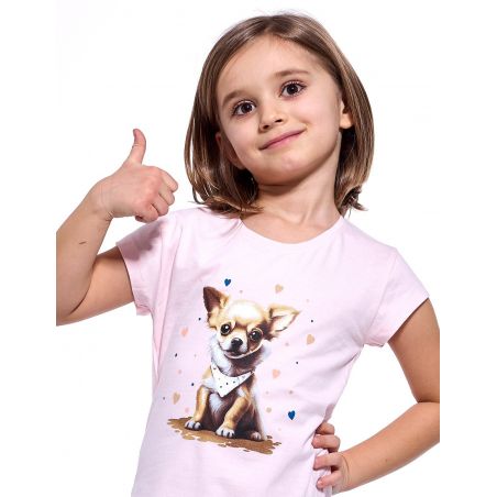 Koszula Cornette Kids Girl 493/112 Chihuahua kr/r 98-128