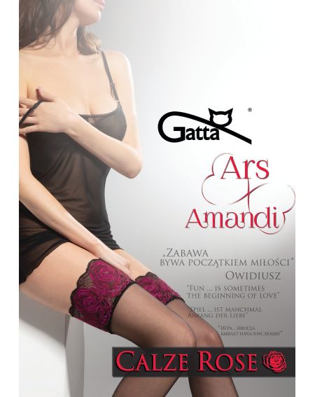 Pończochy Gatta Ars Amandi Calze Rose 15den 1-6